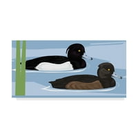 Трговска марка ликовна уметност 'Tufted Duck Id' Canvas Art by Mike Hughes