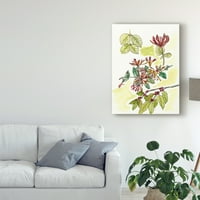 Трговска марка ликовна уметност „Флорални теренски белешки IV“ платно уметност од Мелиса Ванг