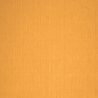 Ахгли Компанија Внатрешен Правоаголник Цврсти Портокалови Модерни Килими, 2'4'